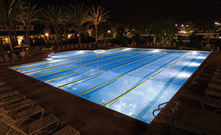 Focos de led blancos.